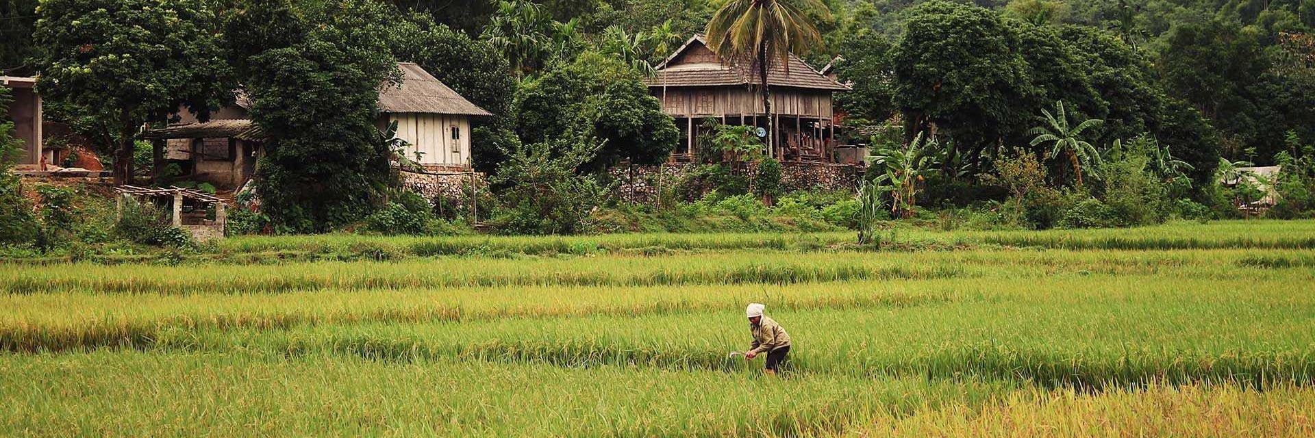 Mai Chau destination
