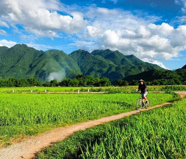 b2ap3 large cycling mai chau travel cover