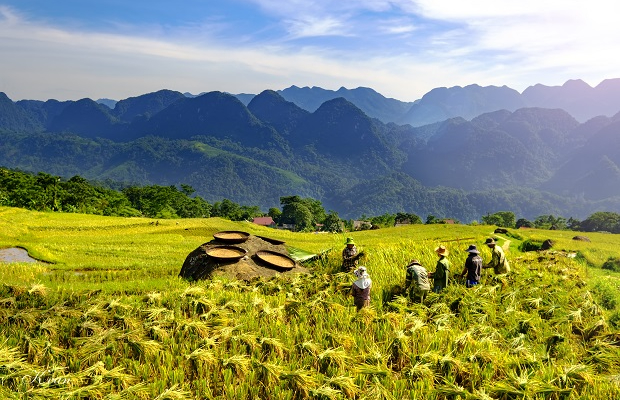 Trekking Pù Luông 2 ngày 1 đêm