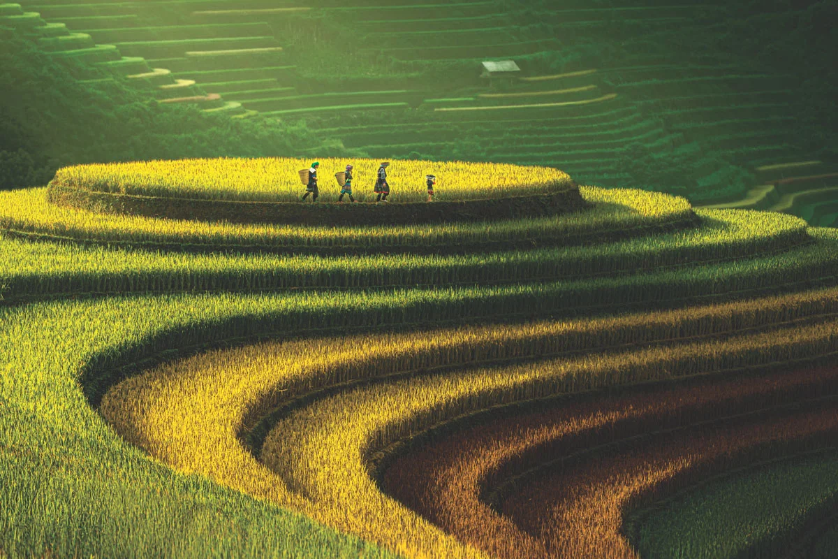 Mu Cang Chai 4 Days