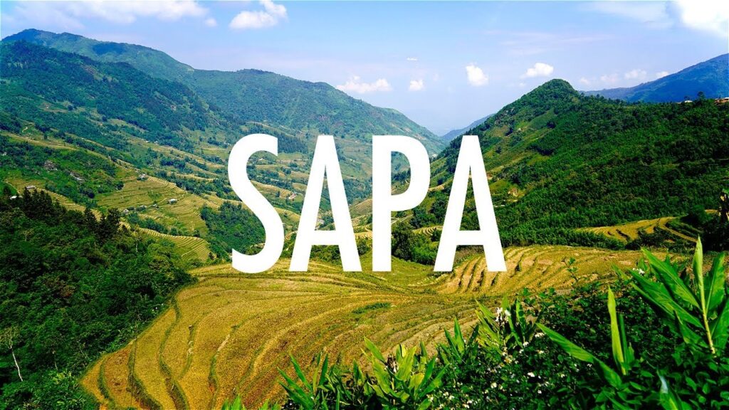 Sapa