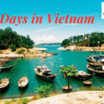 6-Day Excursion through Ho Chi Minh City, the Mekong Delta, Cu Chi Tunnels, and Danang