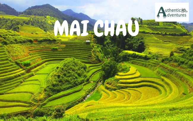 MAI CHAU (2)