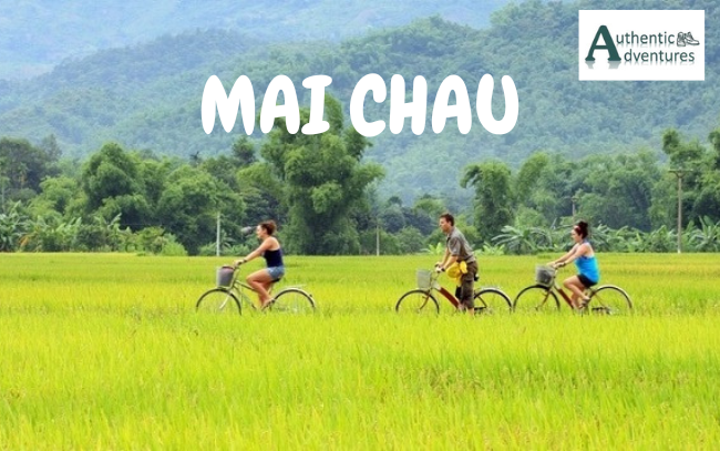 MAI CHAU (3)