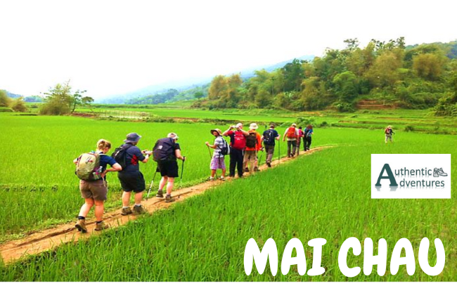 MAI CHAU (5)