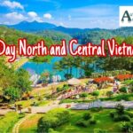 Northern and Central Vietnam 7 Days Tours