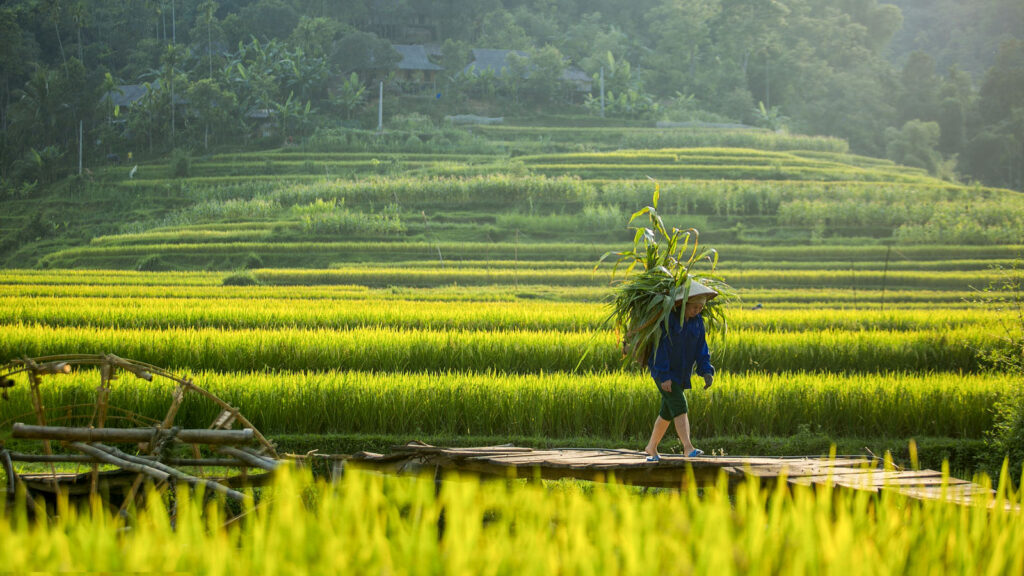 trekking in Pu Luong nature reserve