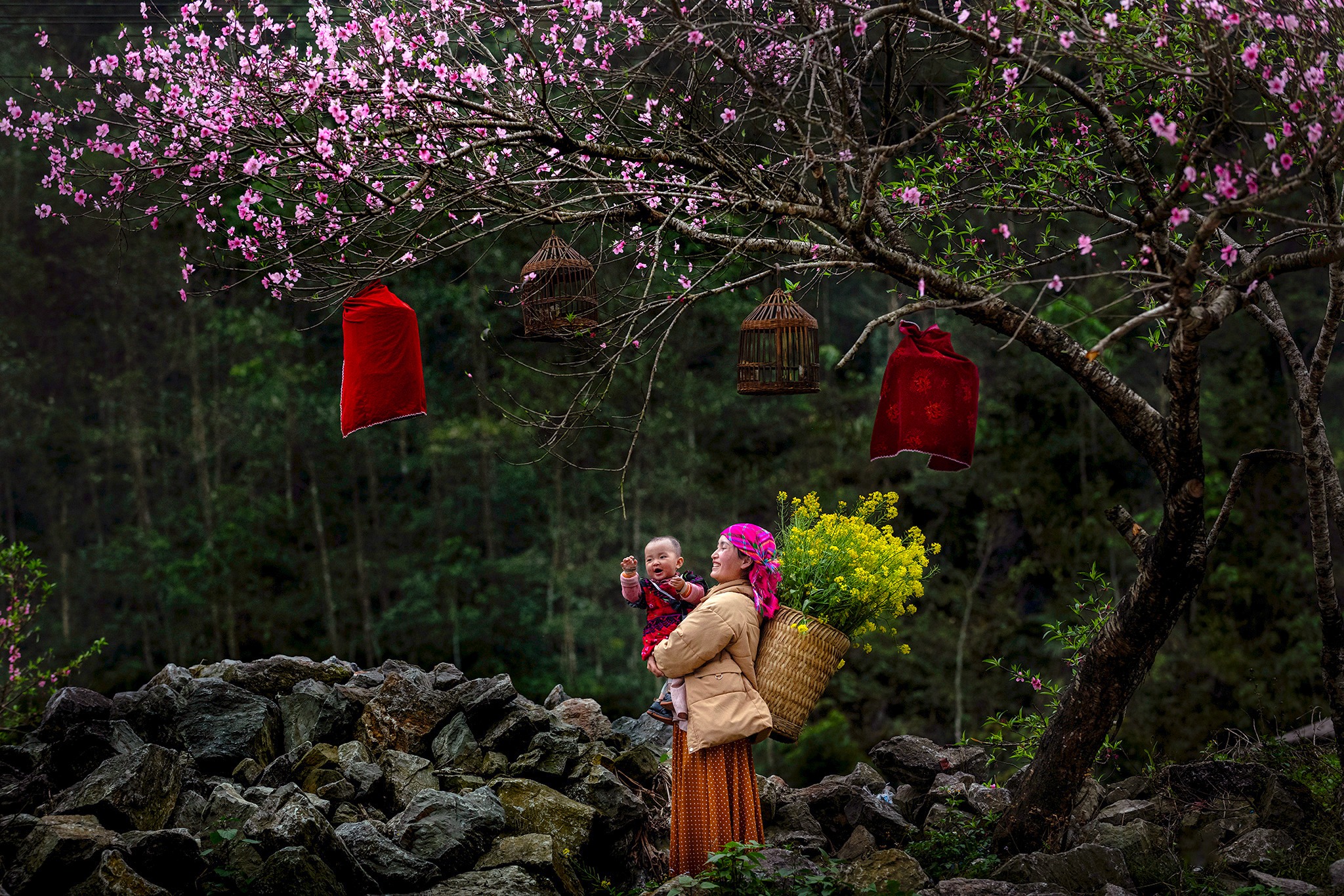 viet nam travel packages