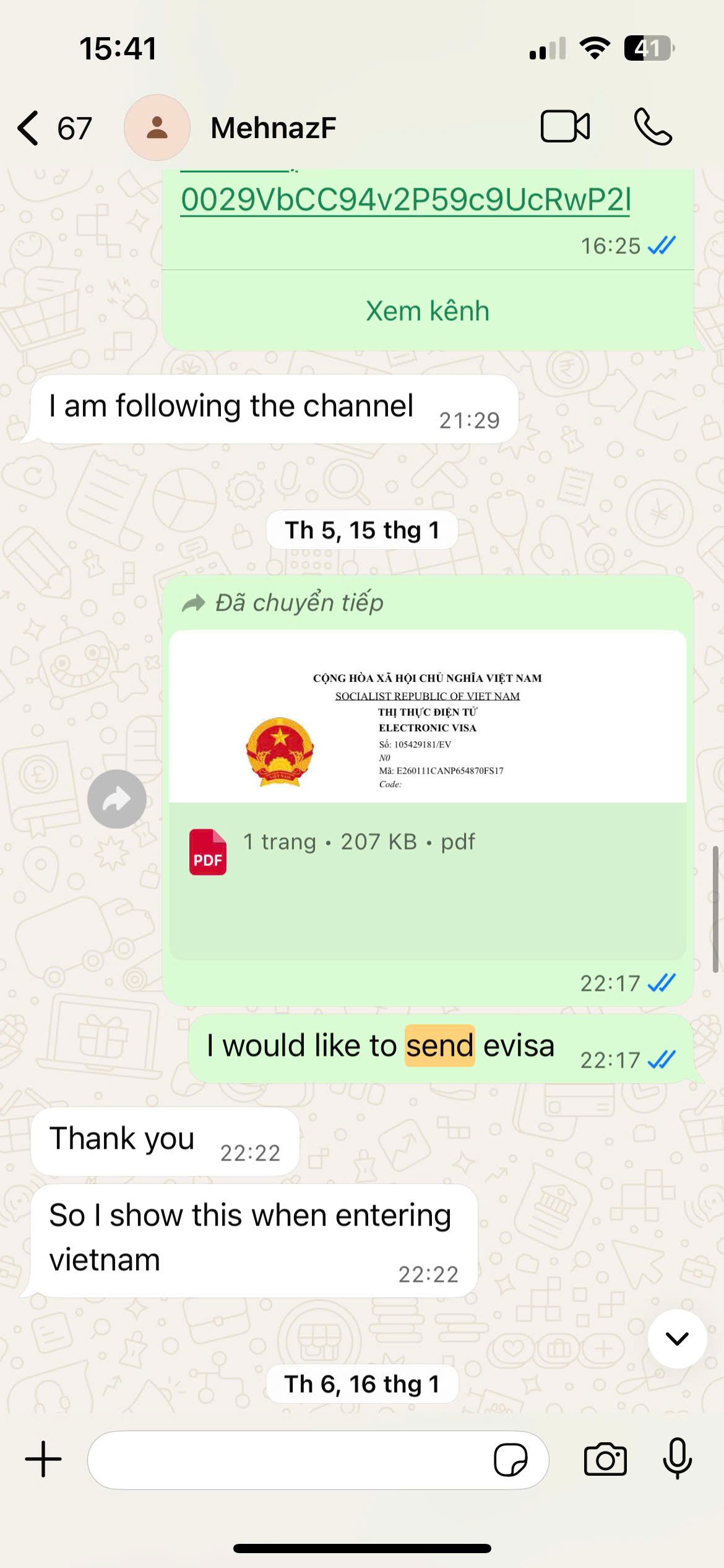 visa vietnam
