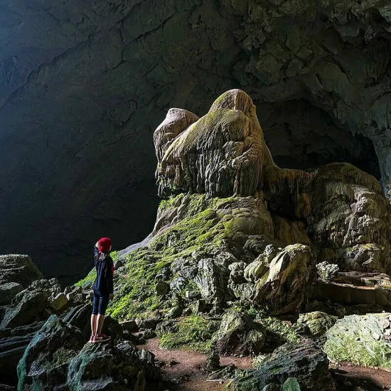 Bat Cave Kho Muong Pu Luong