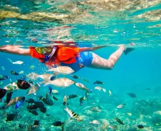Private Nha Trang Snorkeling Tour 3