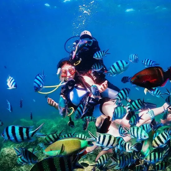 Scuba diving Nha Trang 04