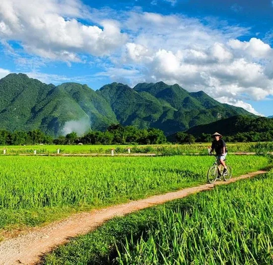 b2ap3 large cycling mai chau travel cover 1