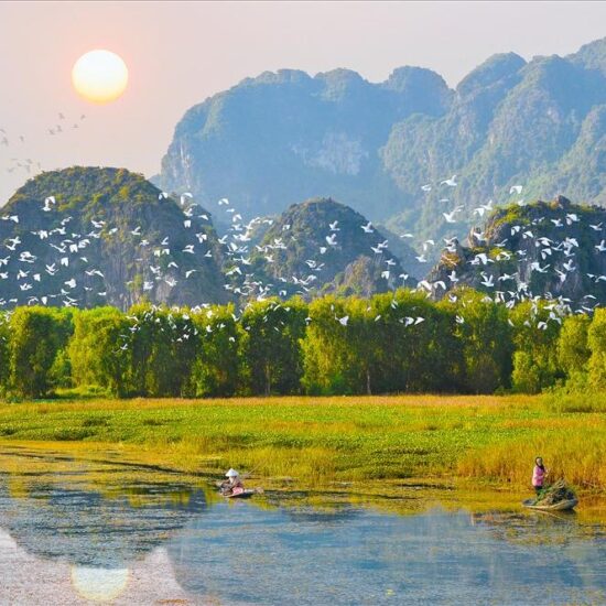 camnhi 202922032904 Vuon chim Thung Nham Ninh Binh 2