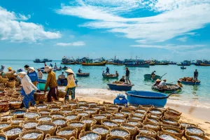 lang chai mui ne 14
