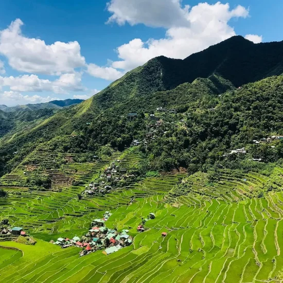 mu cang chai 26