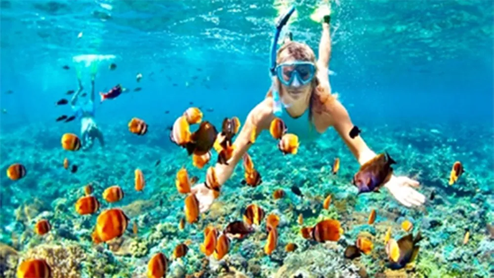 nha-trang-snorkeling-tour_be3fda652ebd042337fad360637f9fbeb813824e