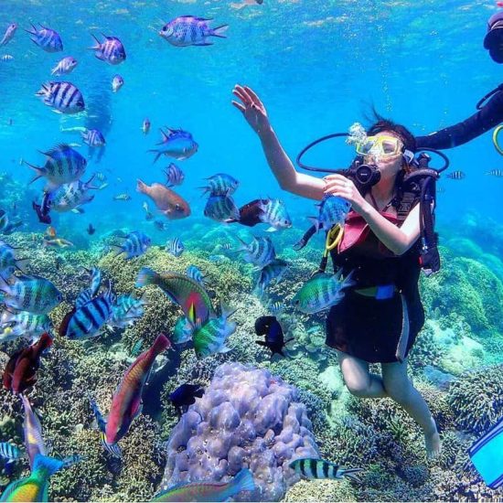 nha trang va cac diem lan ngam san ho hut du khach mua he 2
