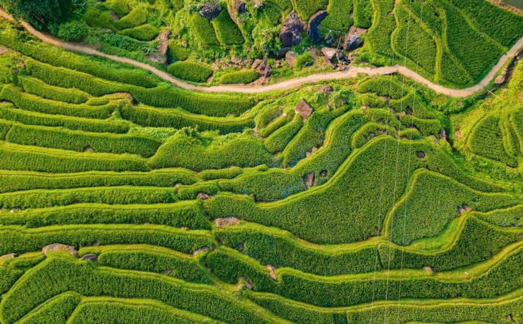 Mai Châu - Pù Lương