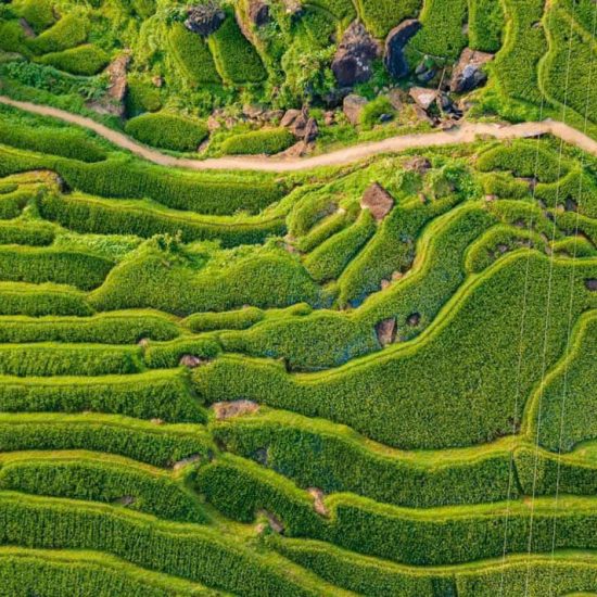 Northern Vietnam Itinerary