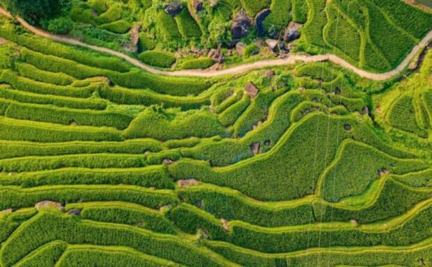 Northern Vietnam Itinerary