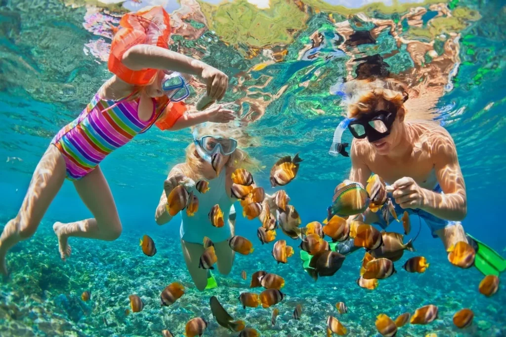 snorkeling-nt-bay-5