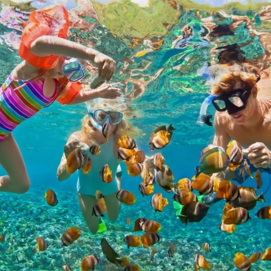 snorkeling nt bay 5
