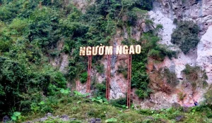 379 dong nguom ngao