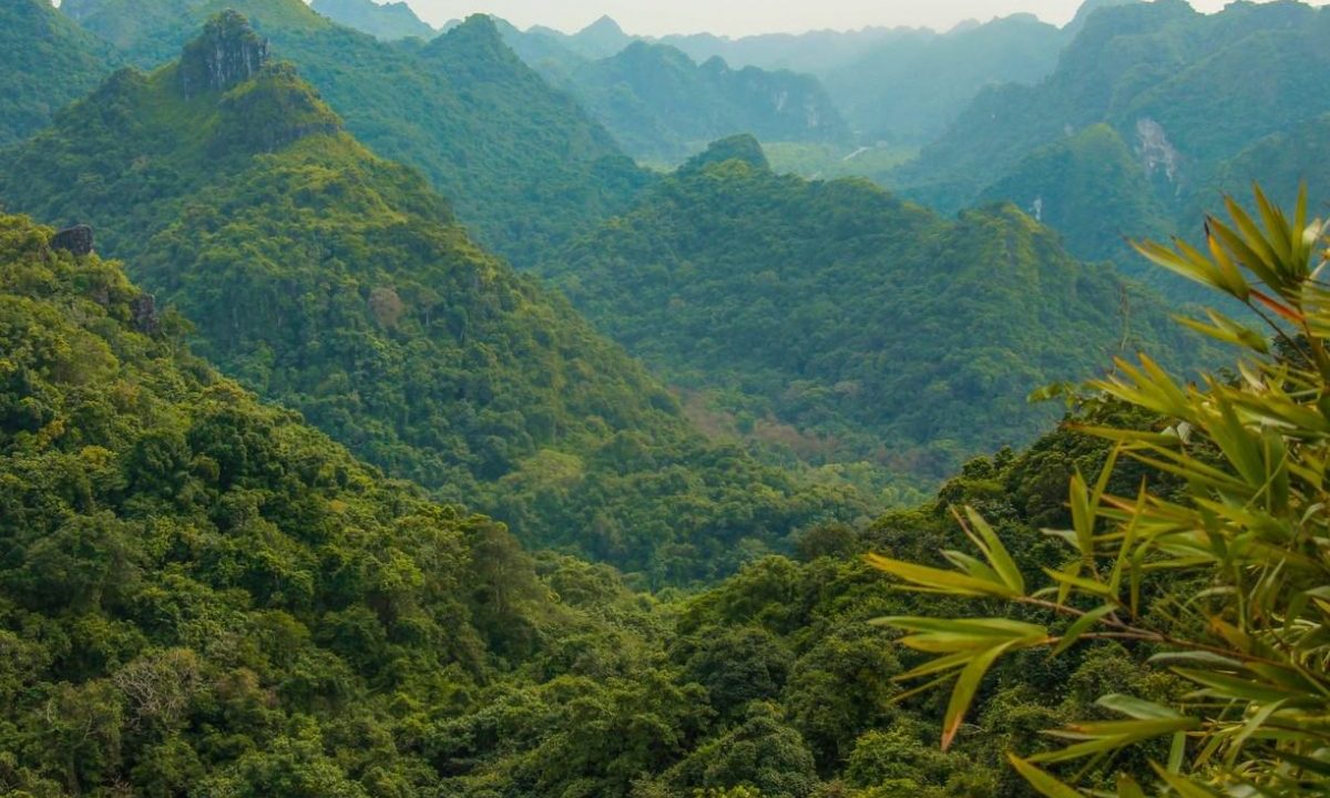 Cat Ba National Park