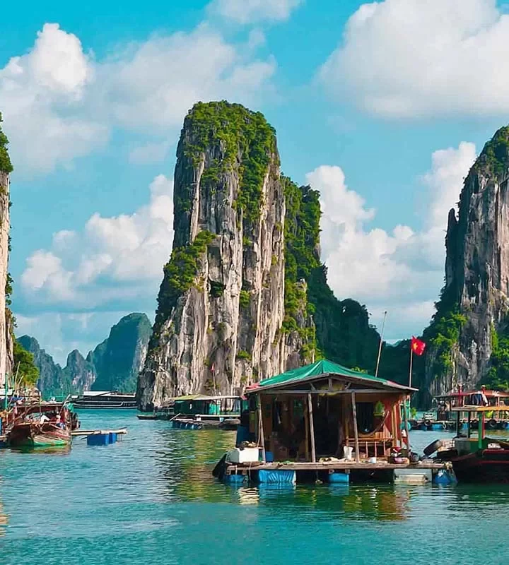 Cat Ba Tours