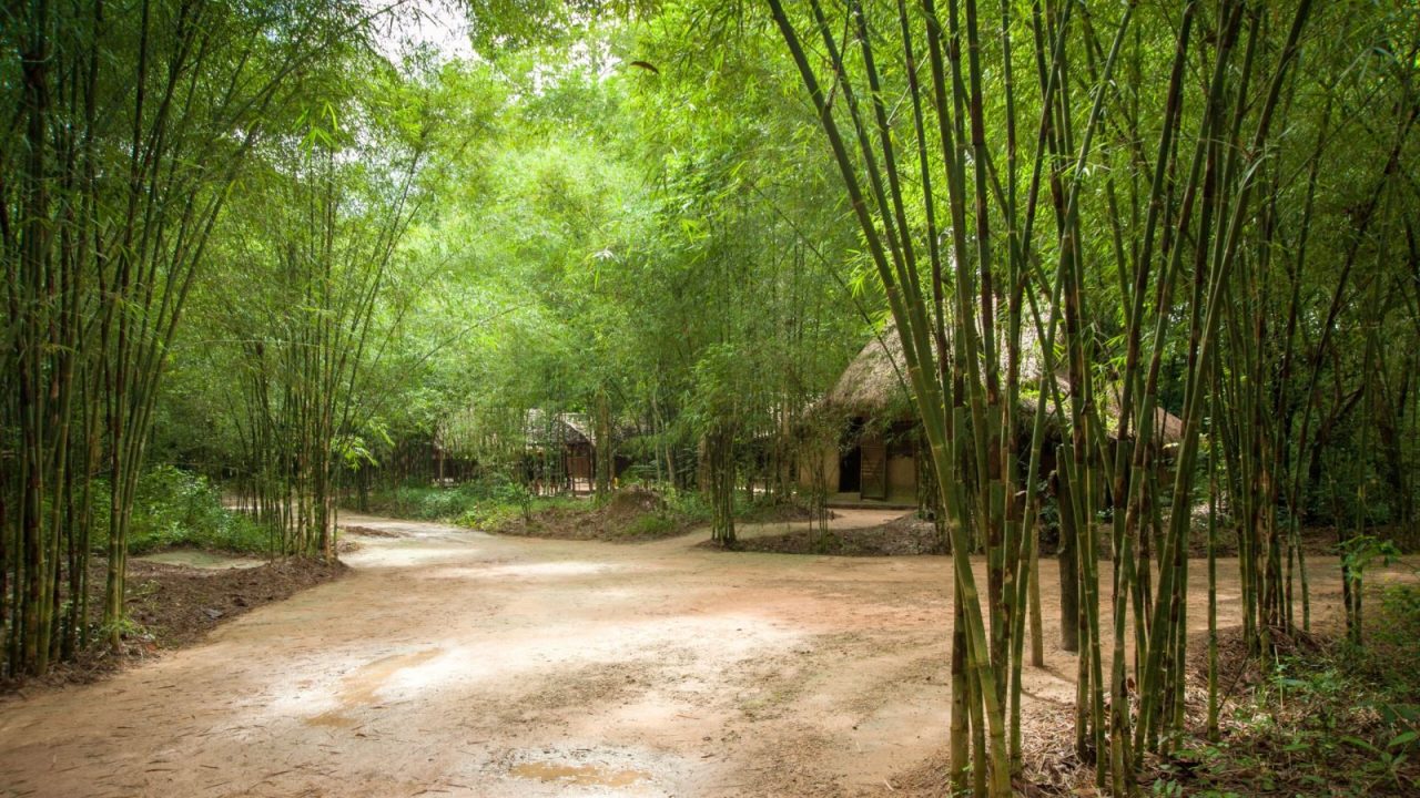 Cu Chi Tunnel Half Day Tour from Ho Chi Minh City