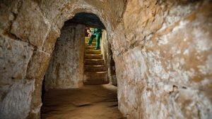 Cu Chi Tunnels Tours 1