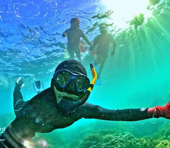EXPLORE CORAL JUNGLE REEF – Phu Quoc 3