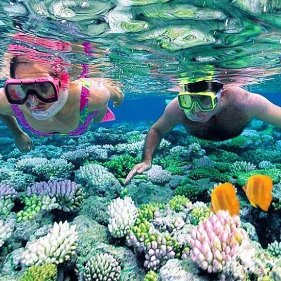 Hon mot island snorkeling Nha Trang Beach beautiful beaches and island nha trang1 1