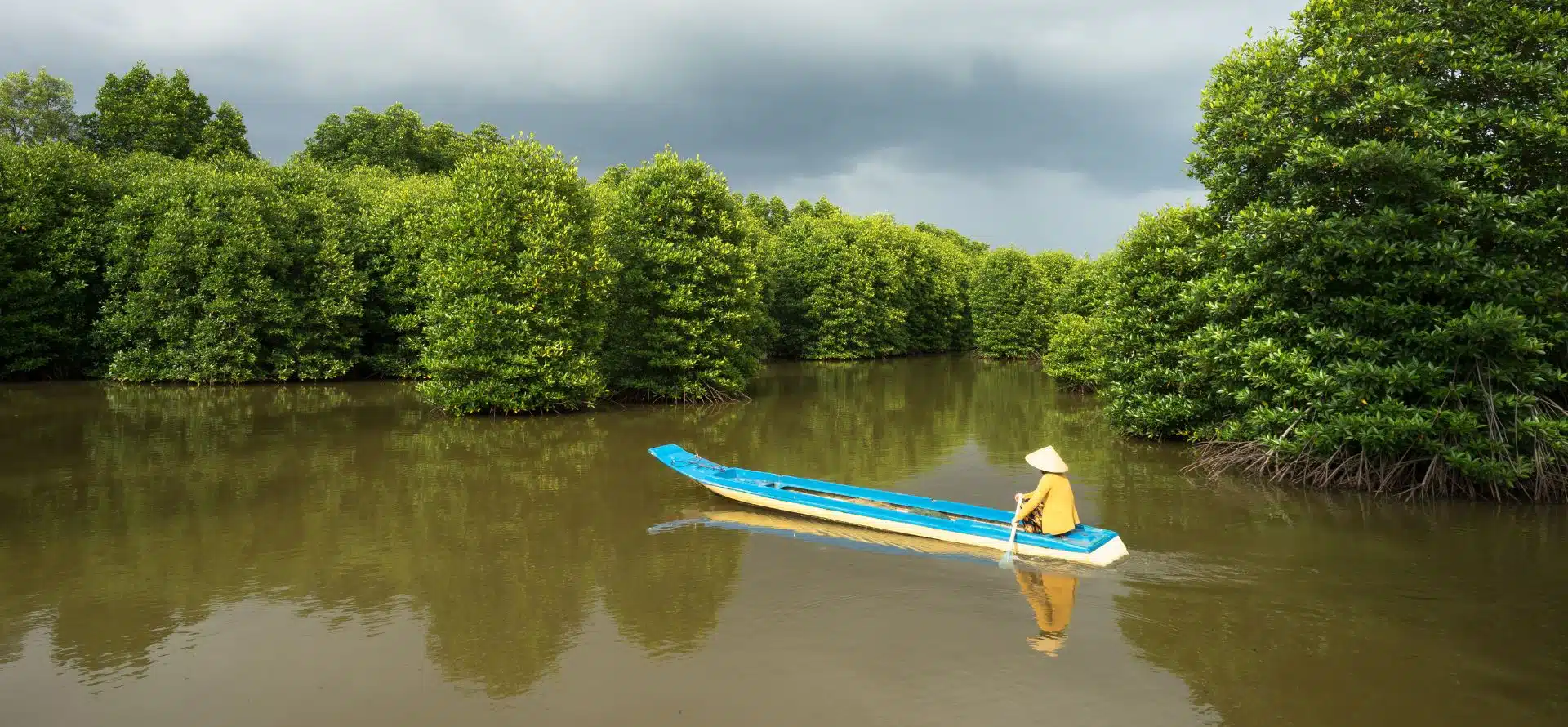Mekong Delta 1