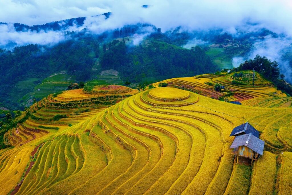 Mu Cang Chai 2
