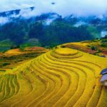 Mu Cang Chai 2
