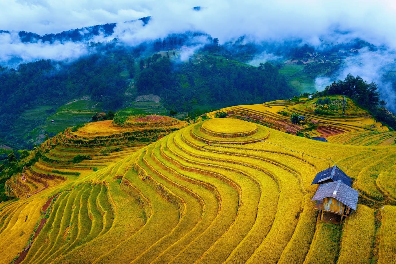 Mu Cang Chai 2