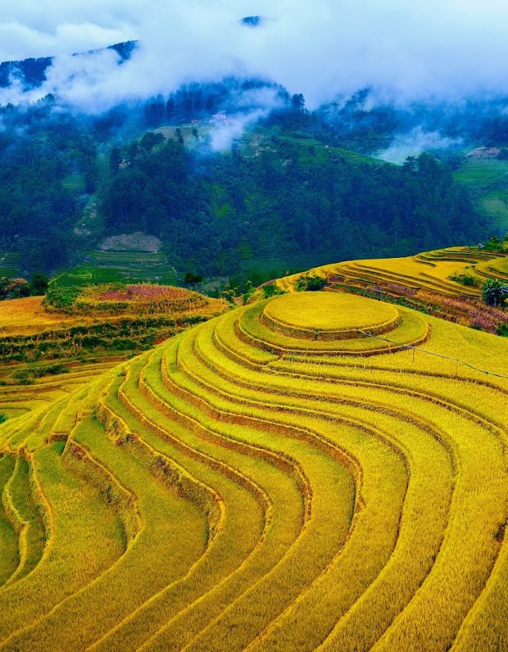 Mu Cang Chai 2