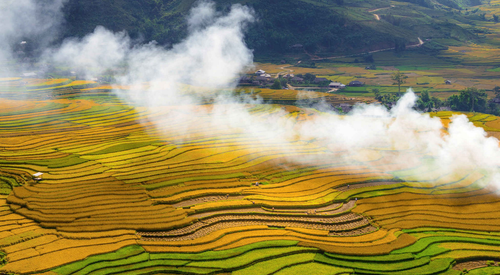 Mu cang chai tours banner