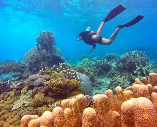 Nha Trang Tour 2 1
