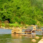 Pu Luong Travel