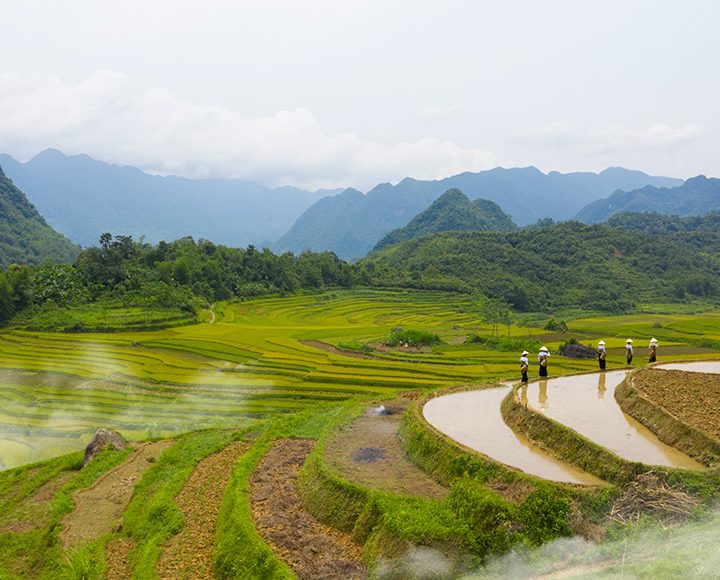 Pu Luong Travel
