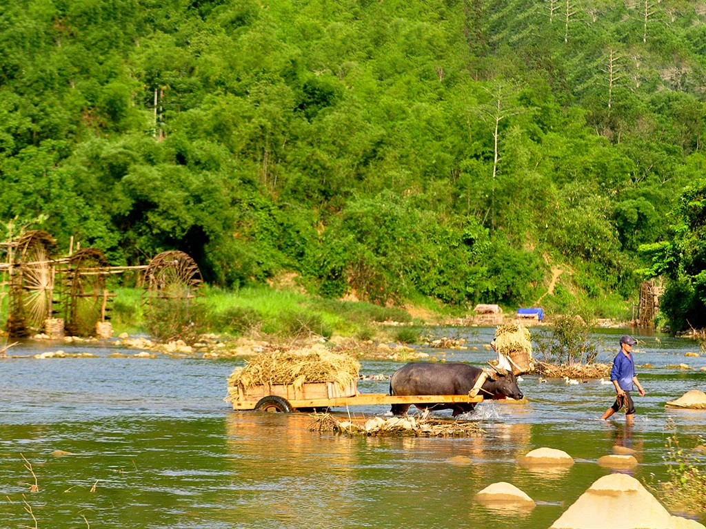 Pu Luong Travel