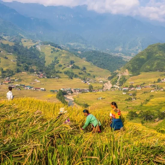 Sapa Travel Guide Vietnam Tourism