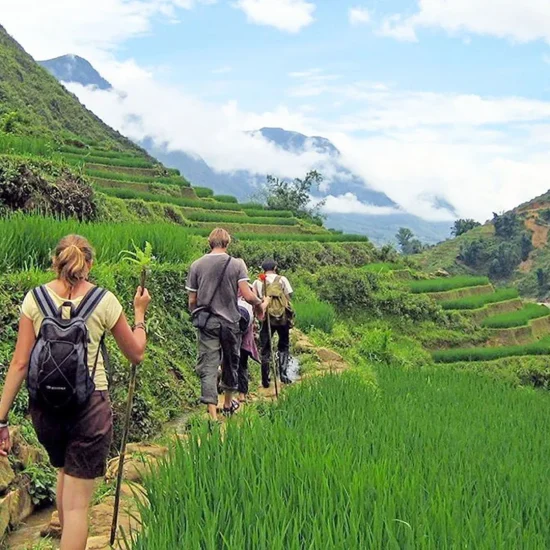 Sapa trekking banner 1