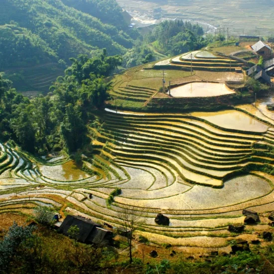 Sapa Vietnam