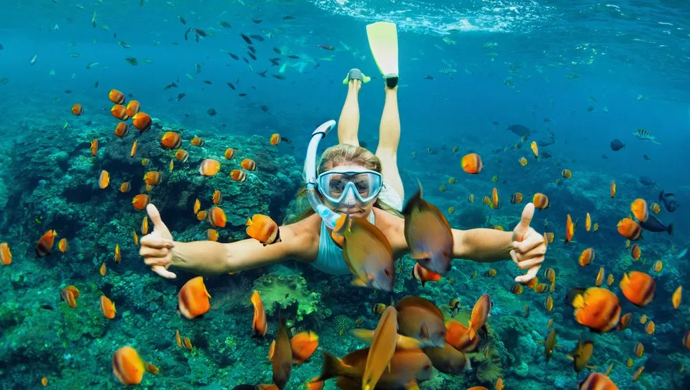 Scuba diving in Cham Island 1000x565 1