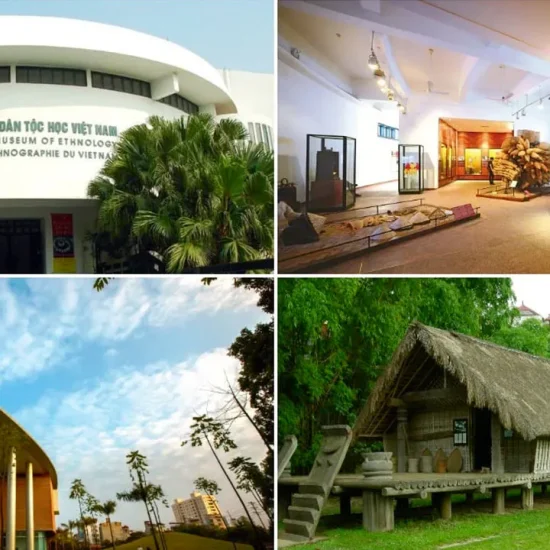 The Crucial Role of the Vietnam Museum of Ethnology