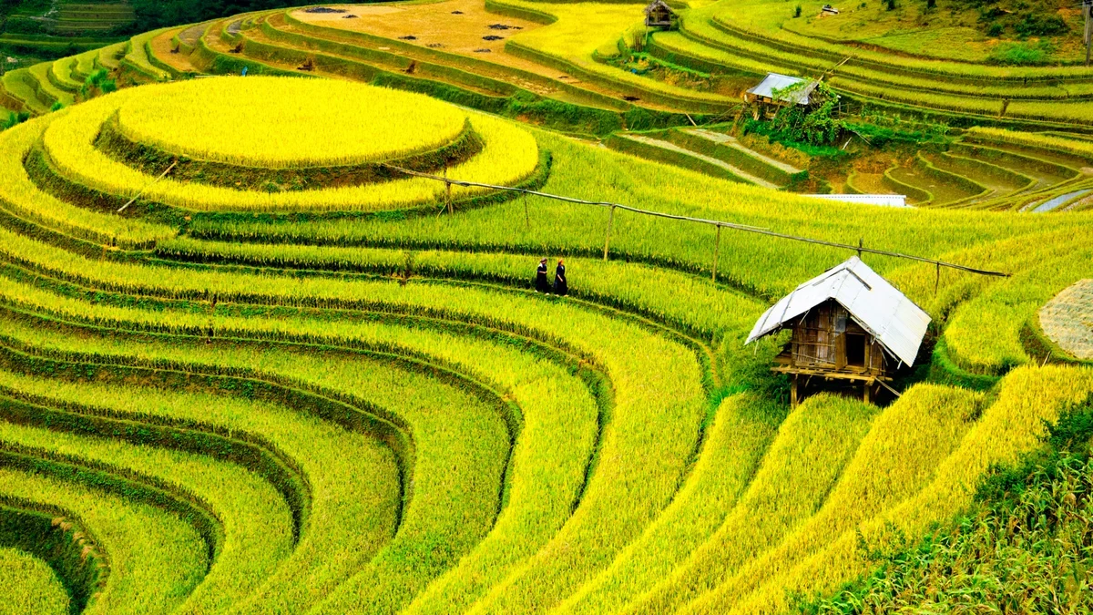 The Terraced Fields of Don Village